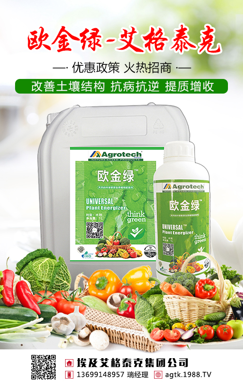 ҪäĿʩˣ~ҪԌZ