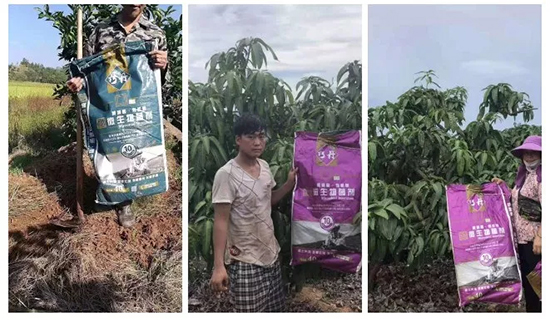 【微生物菌劑+有機肥】效果牛逼!施一遍頂三遍,省力又高產(chǎn)!