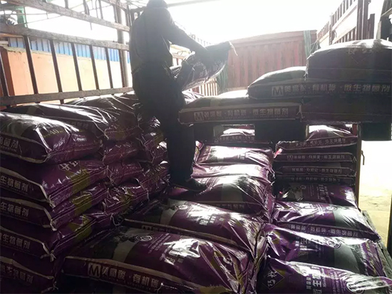 【微生物菌劑+有機肥】效果牛逼!施一遍頂三遍,省力又高產(chǎn)!