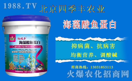 北京四季豐與火爆農(nóng)化網(wǎng)再續(xù)前緣,攜手共創(chuàng)新輝煌!