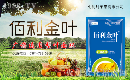 r(sh)̩ɹ1988.TV_r(nng)YN