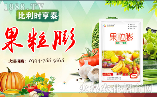 r(sh)̩ɹ1988.TV_r(nng)YN