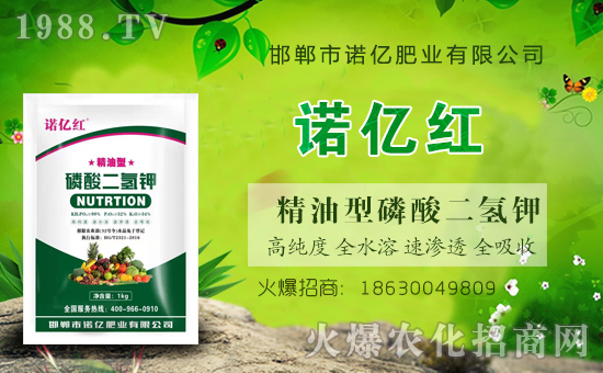 火爆農(nóng)化網(wǎng)喜迎新盟友,攜手利諾億肥業(yè)共走財富之路