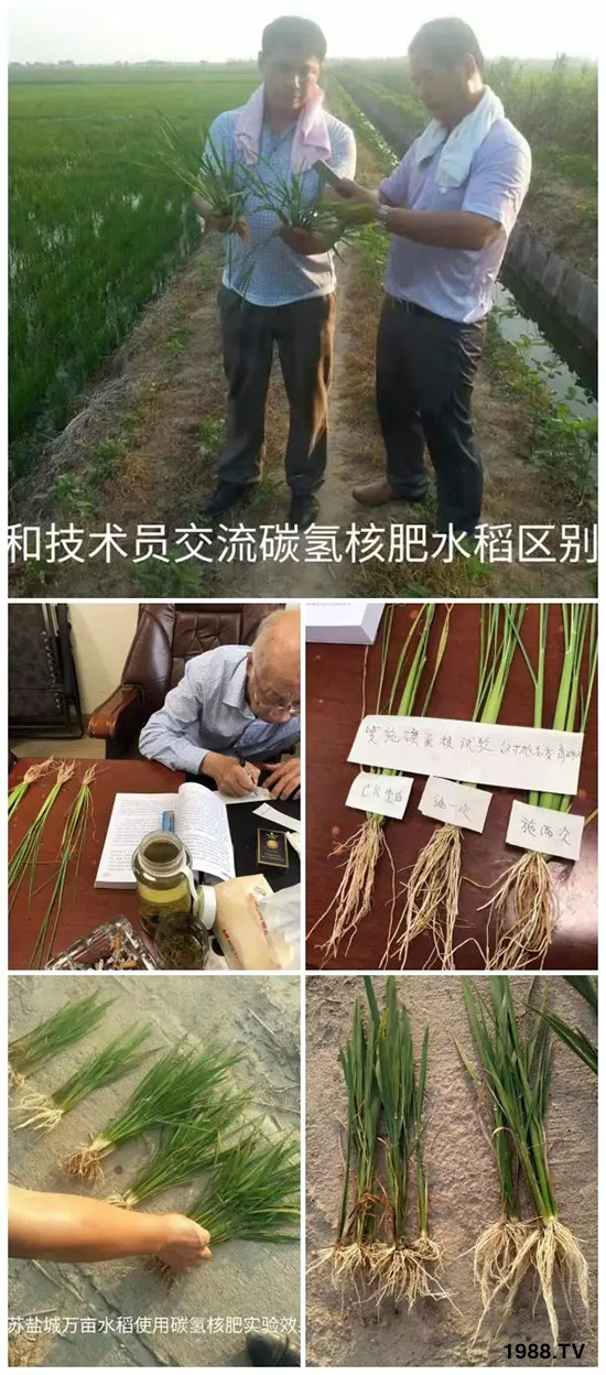 ϰټýw쳬^WʳƷ(bio)(zhn)̼?x)˷ʾ@ô𱬣