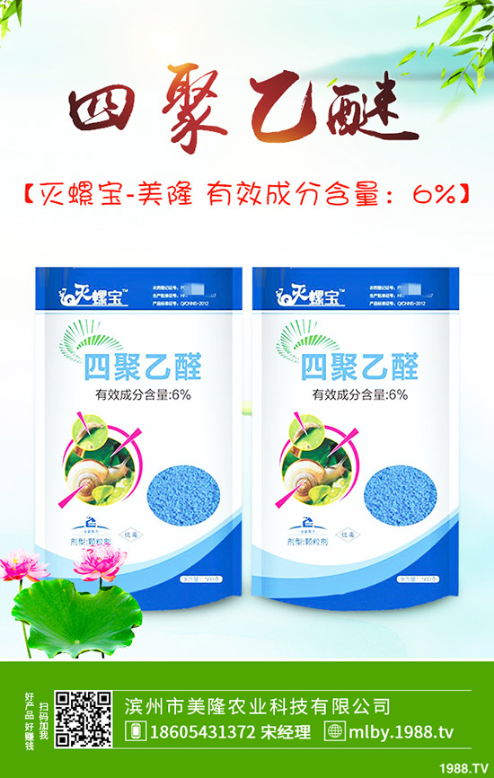 ԓԓժ~ժ~β