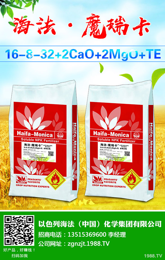     中秋節(jié)臨至！最新二銨價格行情走勢預(yù)測2019-9-11