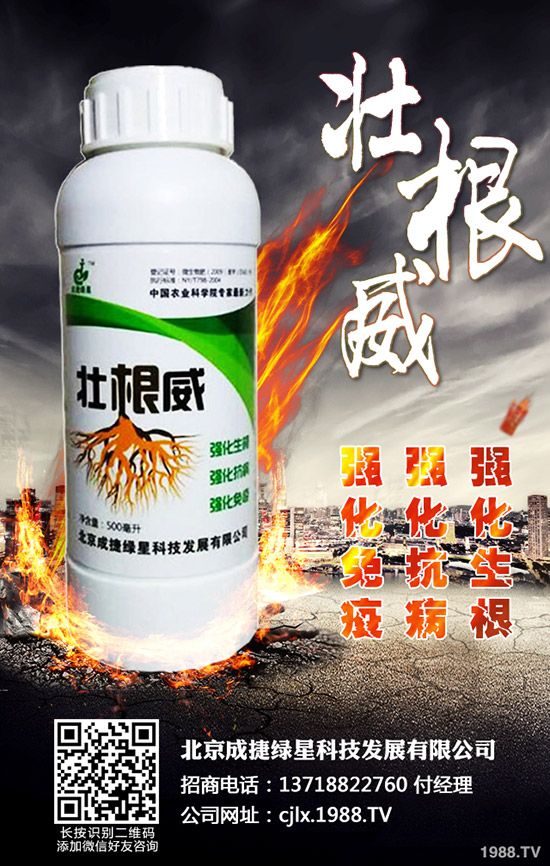 ཷķNֲЩཷNֲ^(gu)ҪעĎ״(wn)}