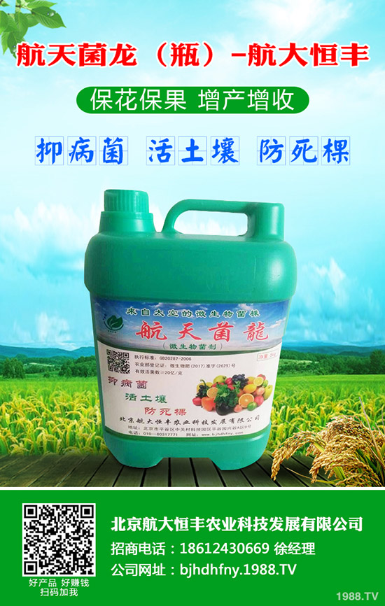 }ʲôr(sh)Nֲ}Ҫc(din)