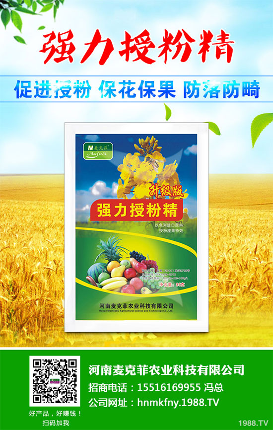 芥菜有哪些營(yíng)養(yǎng)價(jià)值?吃芥菜有哪些好處?芥菜的功效與作用