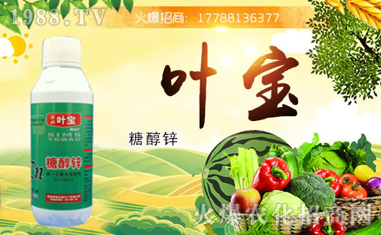 合作再升級,河南寶葉攜手1988.TV,打造網(wǎng)絡(luò)招商奇跡!