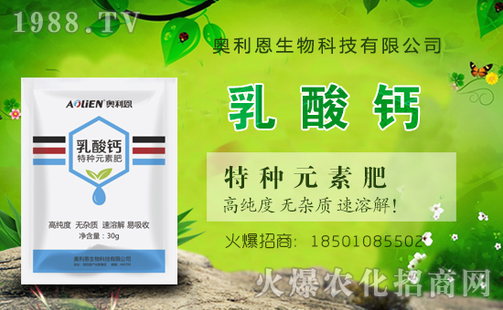 Wvr(nng)W(wng)_W(wng)j(lu)