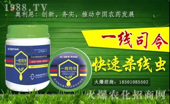 Wvr(nng)W(wng)_W(wng)j(lu)