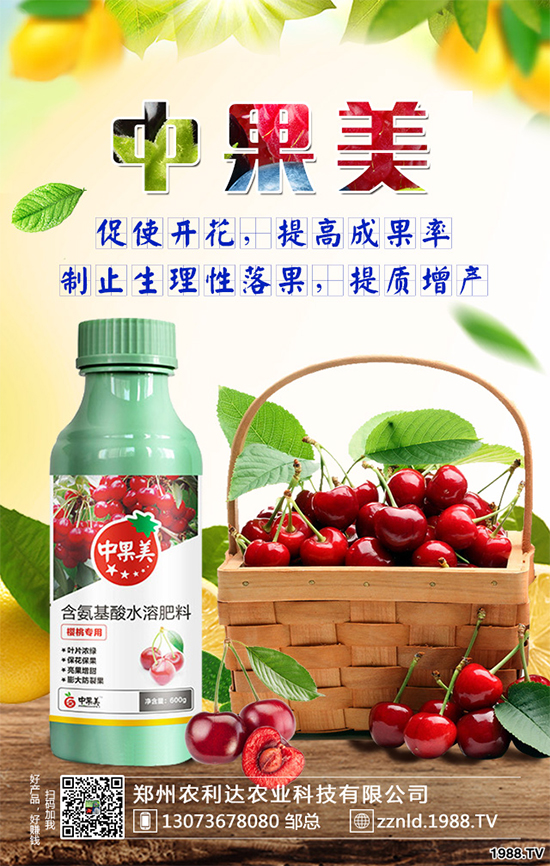 甜椒什么時候種種植?甜椒種植要點(diǎn)!