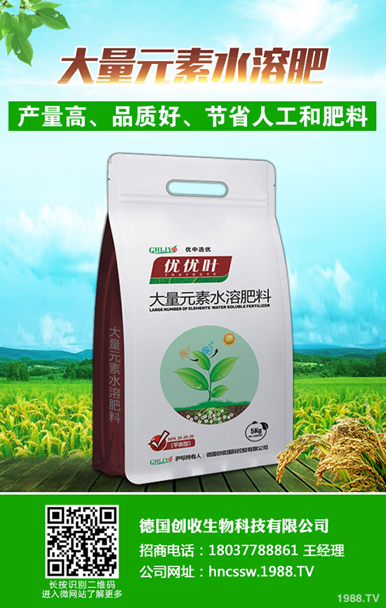 今日國內(nèi)二銨價(jià)格行情走勢(shì)預(yù)測(cè)綜合評(píng)述2019年9月18日