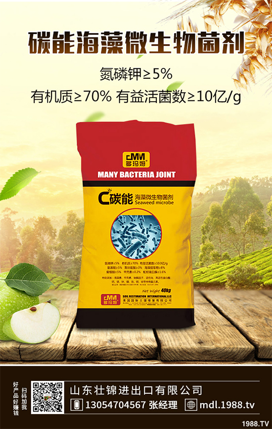 大蔥紫斑病有哪些危害?是如何引起的?大蔥紫斑病的防治措施