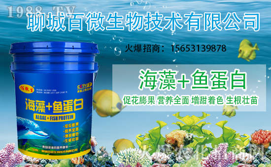 合作友誼再升級,聊城百微再續(xù)前緣,攜手農(nóng)化網(wǎng)共創(chuàng)新輝煌!