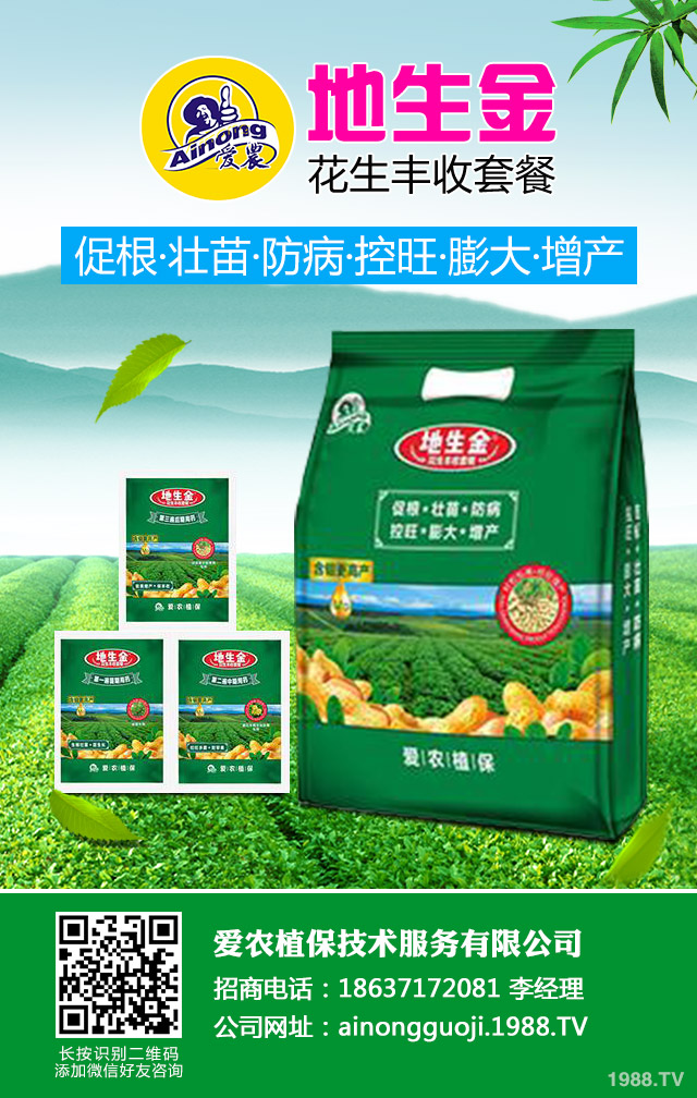 Ĥ޻ηĤ޻(yng)ʩ