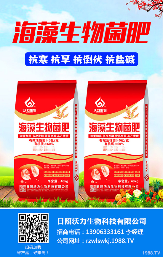 今日一銨二銨價(jià)格日?qǐng)?bào)及最新磷銨企業(yè)出廠價(jià)2019年9月2日