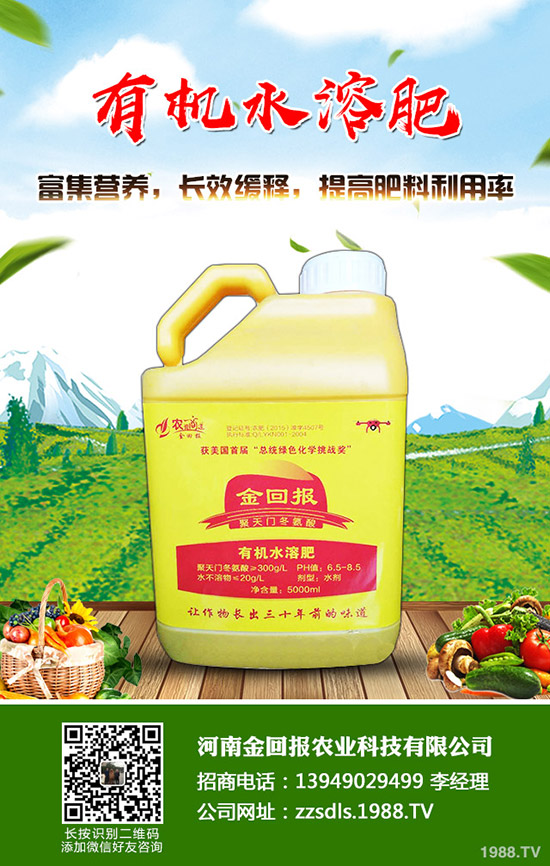 苦蕎麥?zhǔn)裁磿r候種植?苦蕎麥高產(chǎn)種植技術(shù)!