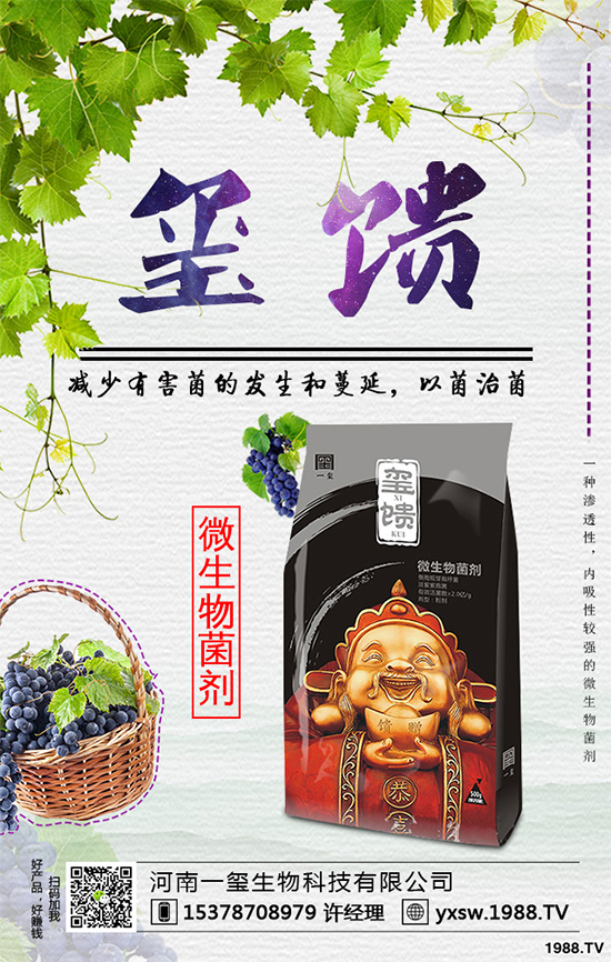 北方怎樣種植藍莓?種植藍莓應(yīng)該注意什么?