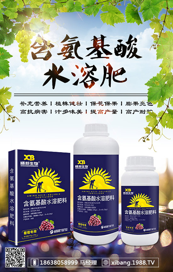 櫻桃蘿卜什么時(shí)候種植?櫻桃蘿卜是否需要澆水