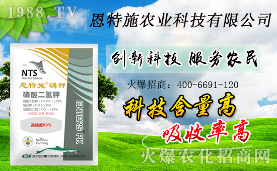 r(nng)W(wng)ϲӭyֶʩ֮ؔ·