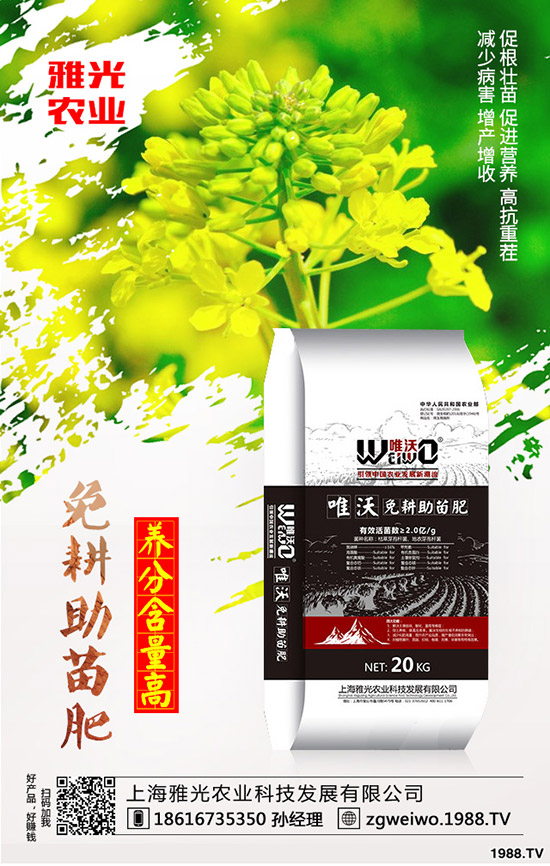 紫薯有哪些營養(yǎng)價(jià)值,紫薯與紅薯相比哪個(gè)更有營養(yǎng)?