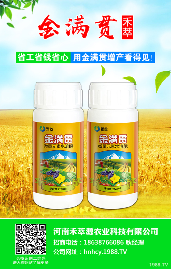 大蔥軟腐病危害這么大,到底該如何防治?大蔥軟腐病的癥狀及防治方法