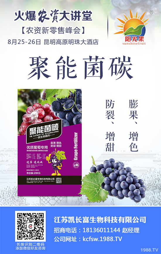 豌豆什么時候種植?該怎么種?豌豆種植時間及種植技術要點