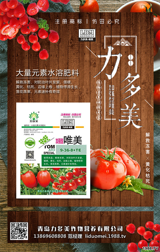 豌豆該怎么種?豌豆的播種方法及種植管理技術(shù)