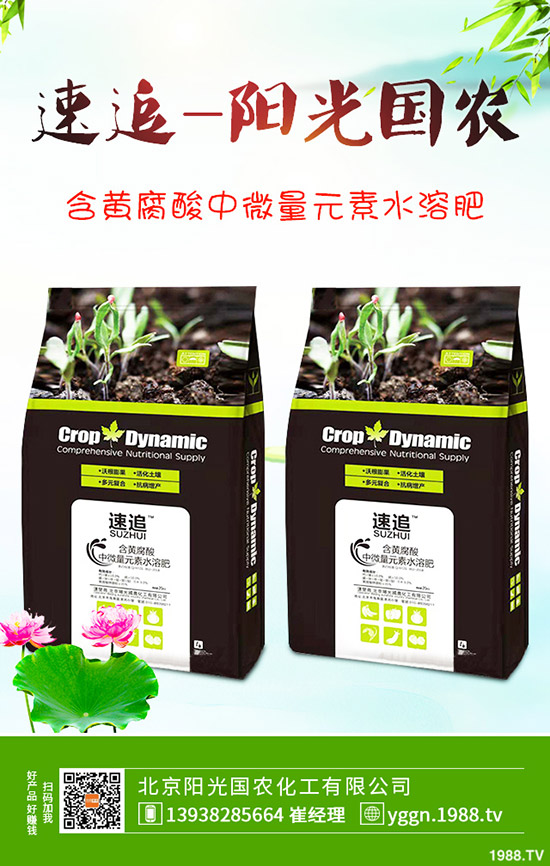 國(guó)慶將至!磷酸二銨價(jià)格是否影響?最新二銨行情分析2019-9-241-(238)