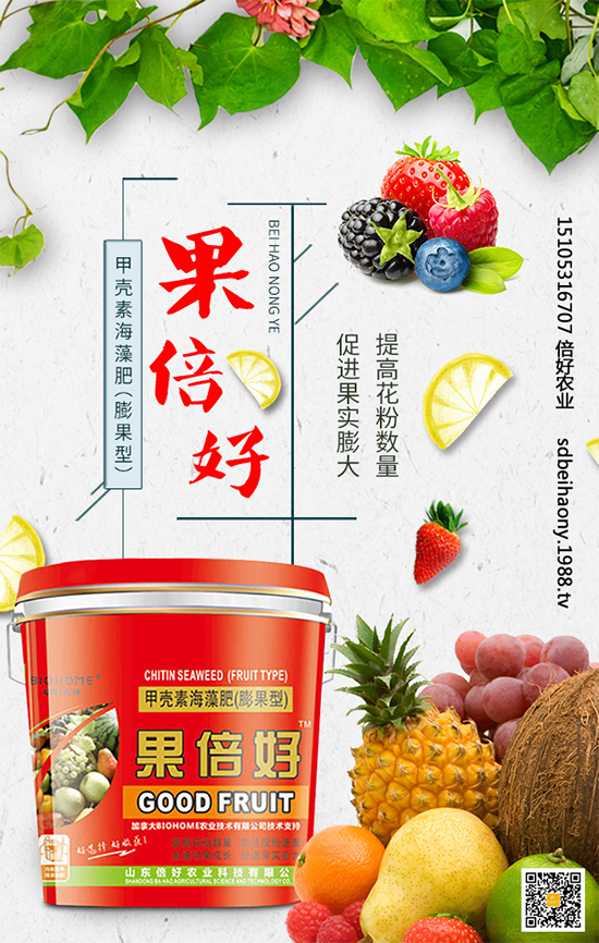 ʥŮʲôr(sh)gNֲʥŮNֲg(sh)Ҫc(din)Щ