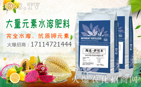 1988.TVϲӭɫкr(nng)I(y)(qing)(sh)(li)u(sh)F(xin)I(y)°l(f)չ