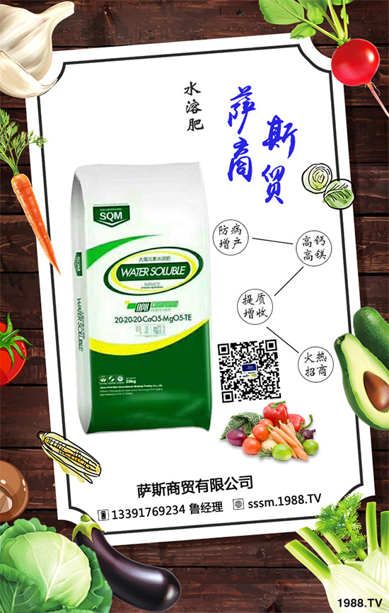 _˹Q(mo)ٶȔy1988.TVW(wng)j(lu)xͣ