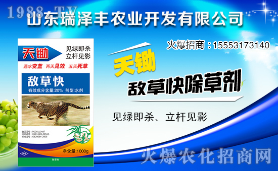 瑞澤豐農(nóng)業(yè)再度攜手1988.TV,攜手再創(chuàng)新輝煌!