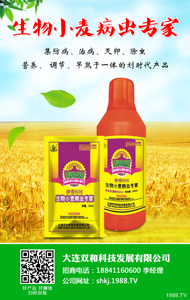 小麥病蟲(chóng)害危害大!小麥苗期的病害和蟲(chóng)害介紹