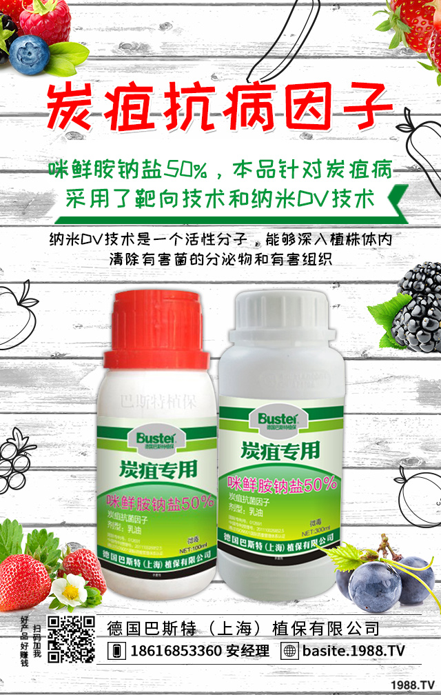 小麥病蟲(chóng)害危害大!小麥苗期的病害和蟲(chóng)害介紹