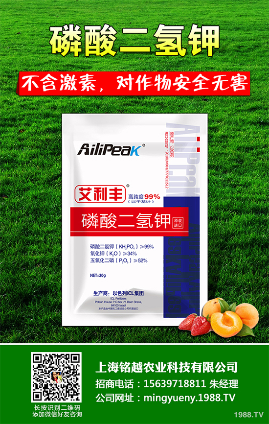 㶹ЩΣF(xin)ԓӷ㶹η