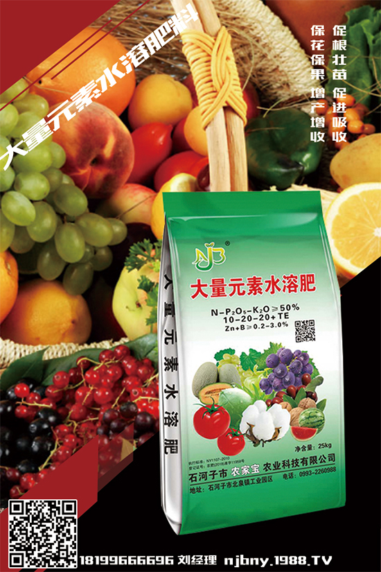 r(nng)Ҍr(nng)I(y)𱬁uٺr(nng)̾W(wng)_(chung)x