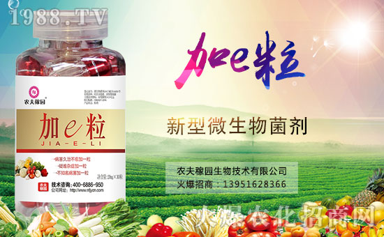 合作升級(jí)!合作共贏!農(nóng)夫稼園再簽1988.TV創(chuàng)新輝煌!