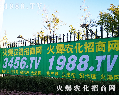 2019LʮÖ|ʡֲr(nng)̾W(wng)ȫԸ