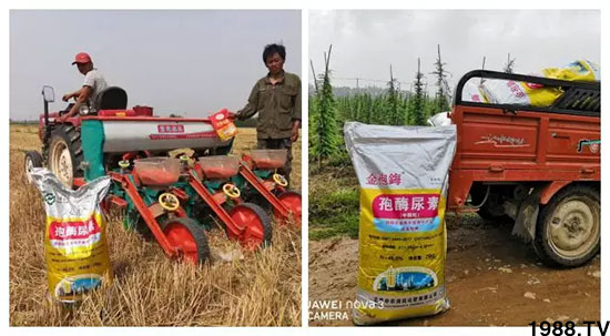 速看!小麥畝產(chǎn)1471斤,雙酶尿素全新升級(jí),“高產(chǎn)王”當(dāng)之無(wú)愧!