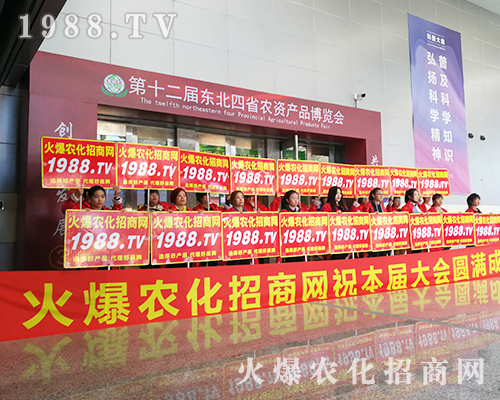 ʮLֲ1988.TVݿǰ(qing)