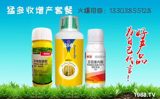     r(nng)W(wng)ϲӭτ٠𱬁uvɹ