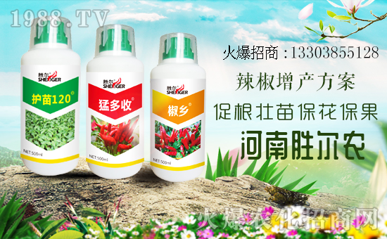     r(nng)W(wng)ϲӭτ٠𱬁uvɹ