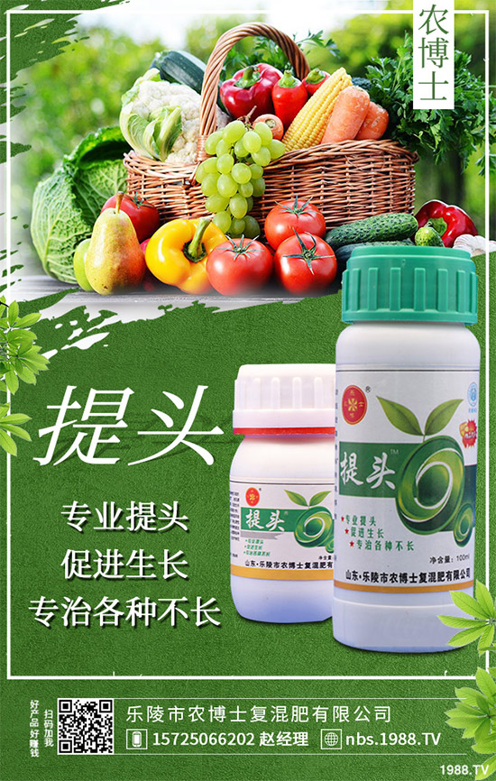 r(nng)ʿٶȔy1988.TVyֹ(chung)(zhn)(j)ل(chung)x2