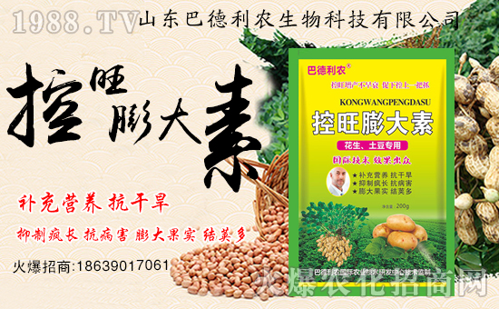 ףRɽ|͵r(nng)1988.TV_W(wng)j(lu)ģʽ