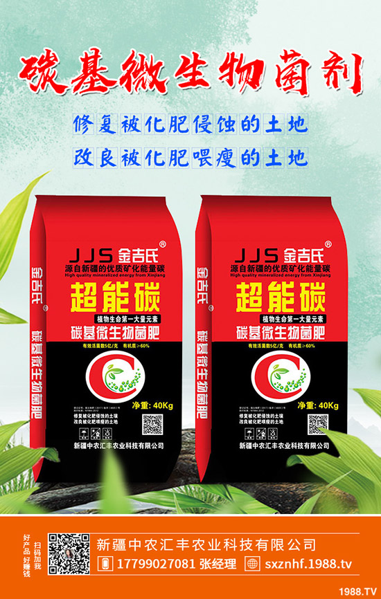 ľôNֲЧW(xu)(hu)@c(din)pɴSգ