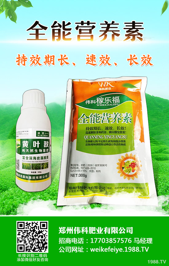 Ә(sh)ô޽Ә(sh)޽ӕr(sh)gͷ