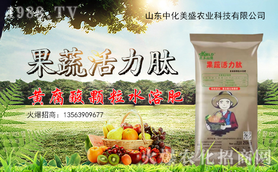 лʢvr(nng)W(wng)_(ki)W(wng)j(lu)